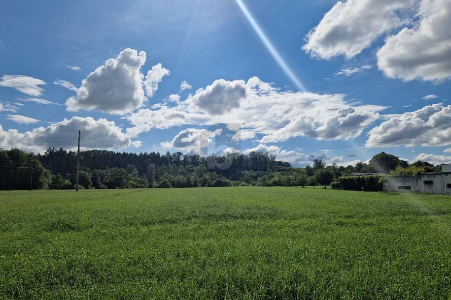 SCHÖNE SONNIGE RUHELAGE!, Grund und Boden-kauf, 260.000,€, 4971 Ried im Innkreis