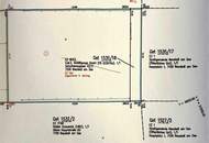 wunderschönes sonniges Baugrundstück mit Seeblick für Ihr Eigenheim am Neusiedlersee