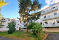 Absolute Grün- und Ruhelage! Gebraucht. Gepflegt. Geliebt! Perfekt aufgeteilte 3-Zimmer + separate Küche / 2 Balkone / Viele Möglichkeiten! Ruhig wohnen, gut leben!