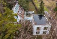 Wo die Seele ihr Zuhause findet: Ein Kunstwerk zwischen Wald und Wien