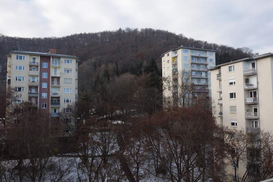 3-Zimmer-Wohnung in Wetzelsdorf, Wohnung-miete, 1.050,00,€, 8052 Graz(Stadt)