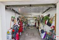 Familienfreundliches Einfamilienhaus mit Garten in ruhiger Lage