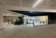 Großzügige Fläche für Fitnesscenter im Twenty One - Central Hub