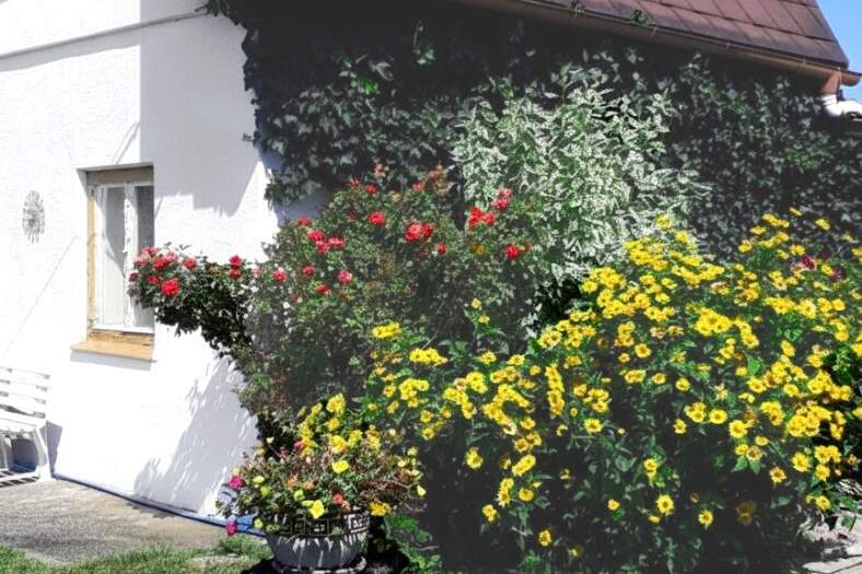 Alte Donau (ca. 200m) Grundstück in traumhafter Wasserlage, Grund und Boden-kauf, 549.000,€, 1220 Wien 22., Donaustadt