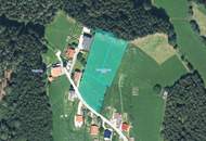 Baugrundstück für Bauträger im Ausmaß von 5.696 m² mit Almcharakter