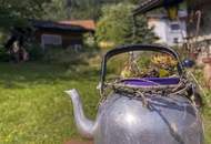 Handwerker aufgepasst! Charmantes Haus mit Potential und vielen Möglichkeiten