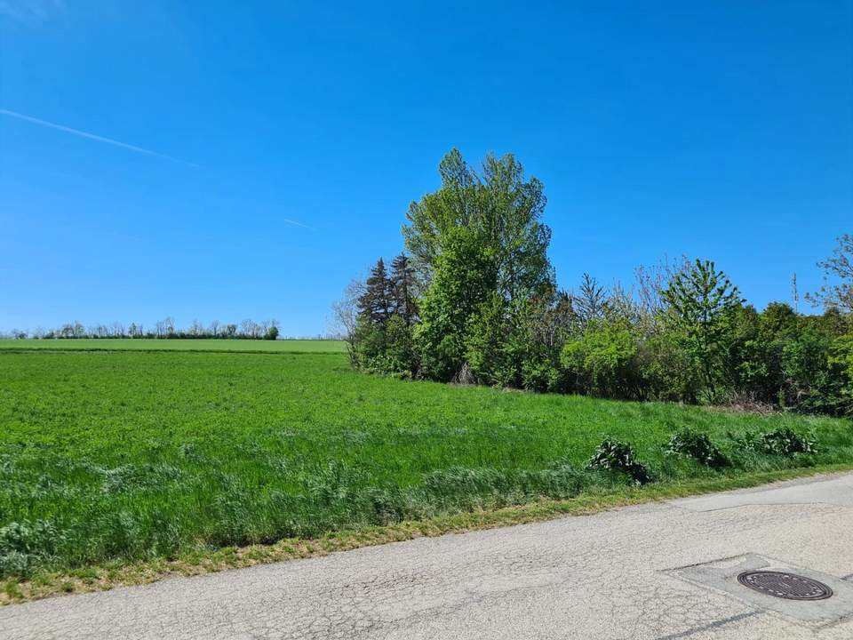 Grundstück für ihren Wohntraum in Steinbrunn (Provisionsfrei)