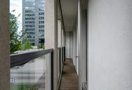 " DC-Living-Living the Dream "