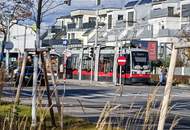 In absoluter Ruhelage bei der alten Donau, komplett möbliert