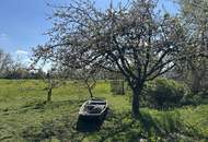 Einfamilienhaus mit großem Garten