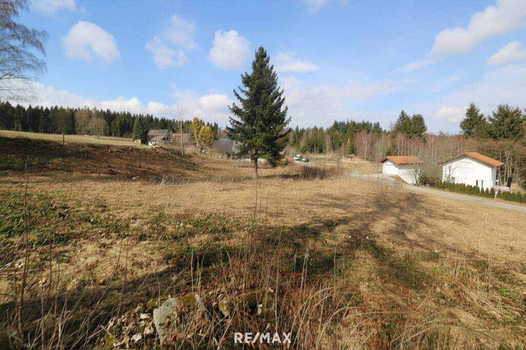 Großzügiges Grundstück mit Entwicklungspotenzial – ideal für Eigenheim &amp; Bauträger“