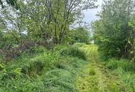 Grundstück mit Altbestand