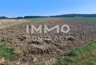Landwirtschaftliche Ackerfläche 1,98 ha in Waldviertel