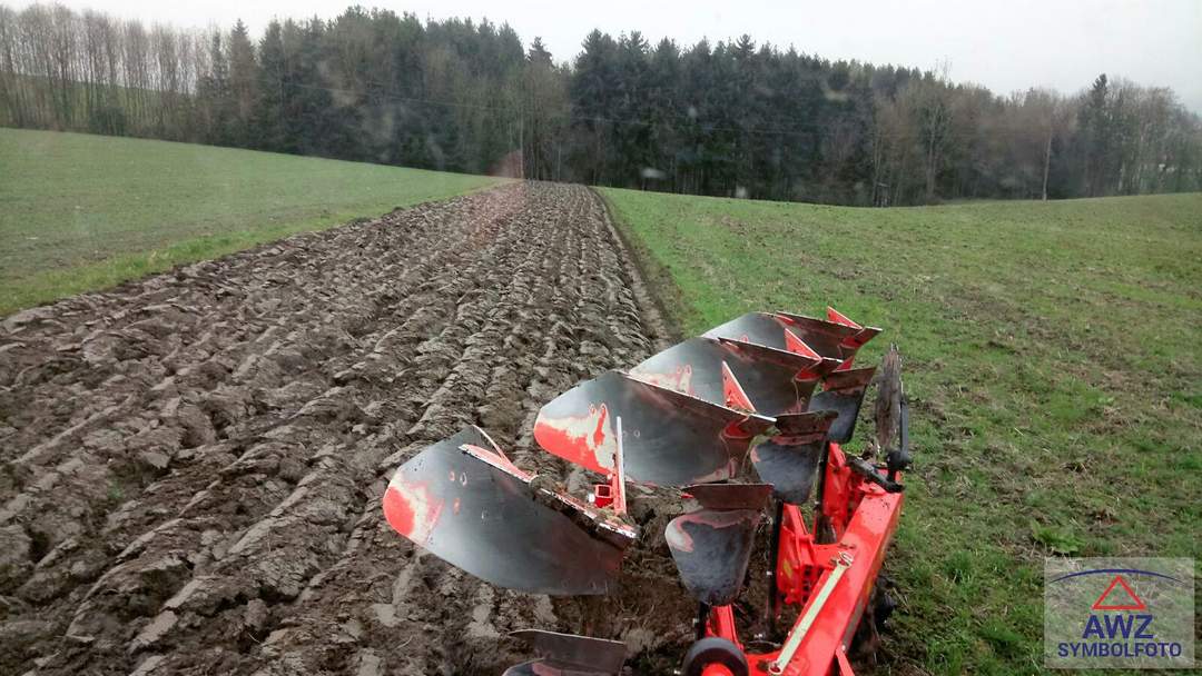 Schöne Bio-Ackerflächen!