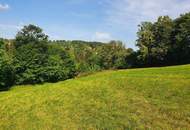 GROSSZÜGIGER LANDSITZ MIT WALD UND WIESEN