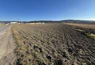 Attraktives Betriebsgrundstück in Pöchlarn!