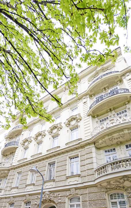 ALTBAURARITÄT - NÄHE LIECHTENSTEINPARK