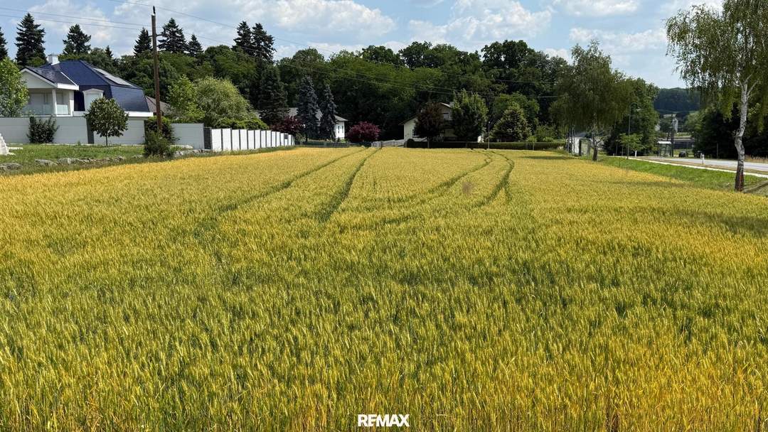 SONNIGES BAUGRUNDSTÜCK ohne Bauzwang