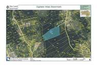 Einmalige Gelegenheit: Waldgrundstück mit ca. 3 ha in Graz-St. Peter/Messendorf zu verkaufen!