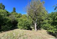 2.061 m² am Waldrand – Grundstück mit vielseitigen Möglichkeiten in Enzesfeld