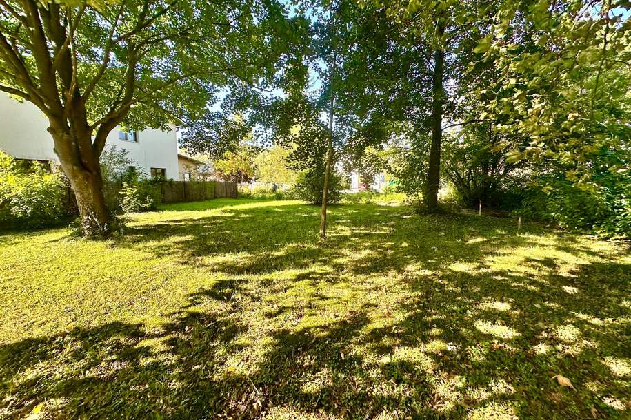 Attraktives Baugrundstück ohne Bauverpflichtung!, Grund und Boden-kauf, 255.000,€, 2130 Mistelbach