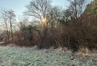 Wunderschönes Baugrundstück in Burg im Südburgenland