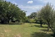 Einfamilienhaus in ruhiger Lage mit großem Naturgarten und viel Potenzial