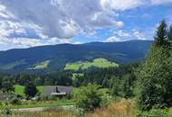 3 Hebalm Grundstücke mit 4 bewilligten Ferienhäuser (Provisionsfrei)