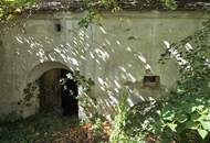 verschlafenes Weinviertler Bauernhaus möchte wachgeküsst werden