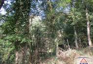 Leistbarer Wald in Feldkirchen/Donau zu verkaufen!