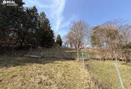 Einfamilienhaus mit großem Garten