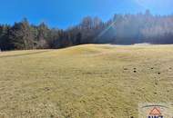 Einzigartiges Grundstück am Waldrand: Naturparadies mit Baugrund!