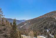 ALM-CHALET 1 - Freizeitwohnsitz in Toplage