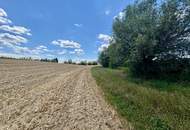 Landwirtschaftlicher Nutzgrund Leonding