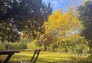 Traumhafte Jahrhundertwendevilla mit Garten und Pool