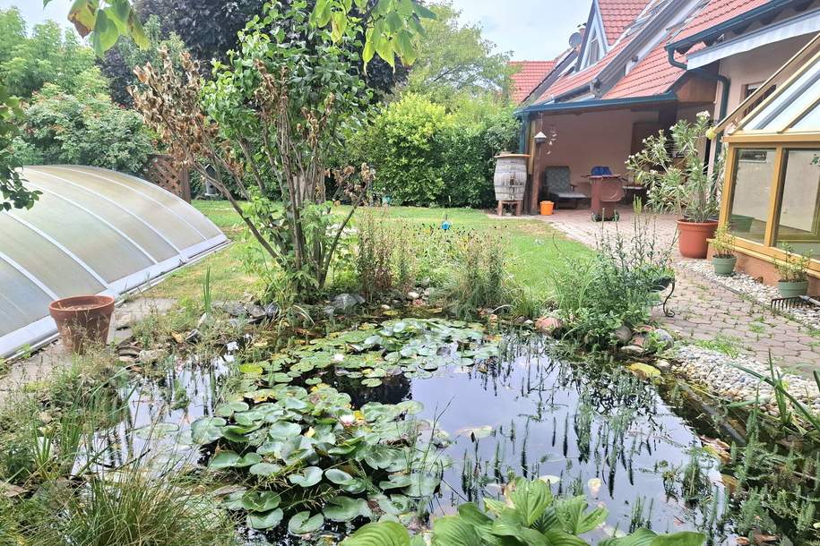 Charmantes Einfamilienhaus inkl. Pool, Sauna u.v.m., Haus-kauf, 519.000,€, 2525 Baden