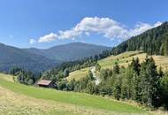 Einzigartige Landwirtschaft inkl. Hofstelle und eigener Quelle, umgeben von 52 ha arrondierter Wald- und Wiesenfläche