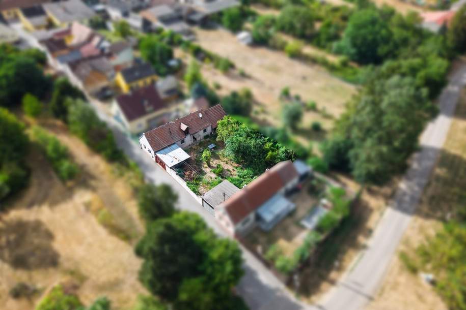 NEUER PREIS !!!! Aus Alt mach Wow – Ihr nächstes Herzensprojekt wartet in Rabensburg!, Haus-kauf, 65.000,€, 2274 Mistelbach