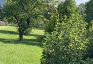 Baugrundstück aktuell noch Zweitwohnsitzwidmung! Sonnige Aussichtslage in Aigen im Ennstal