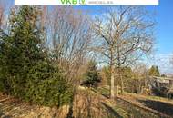 Großzügiges Grundstück in Spattendorf - Gemeinde Alberndorf in der Riedmark (GST 2443/1)