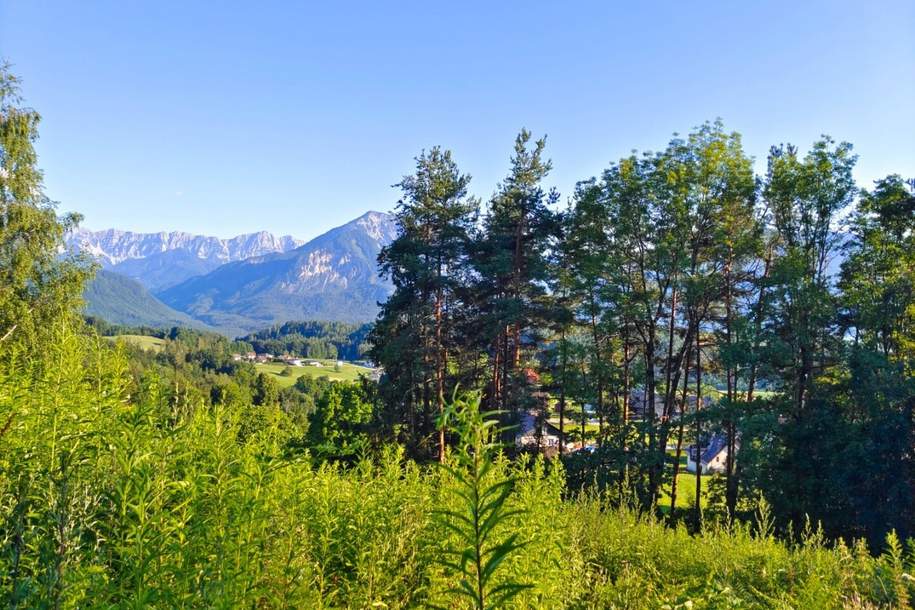 *RARITÄT* Baugrundstück mit Panorama &amp; Sonne – Toppelsdorf, Grund und Boden-kauf, 127.000,€, 9161 Klagenfurt Land