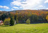 Großzügiges, naturnahes Grundstück in sonniger Ruhelage und mit herrlicher Aussicht