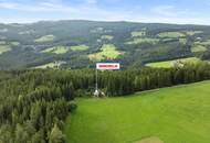 Alleinlage trifft Lebensqualität: Gemütliches Haus mit großem Grundstück inmitten der Natur