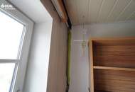 Revitalisierungsbedürftiges Wohnhaus mit tollen Nebengebäuden und großen Gartengrundstücken