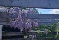 Haus mit Garten und Terrasse am Römersee (Provisionsfrei)