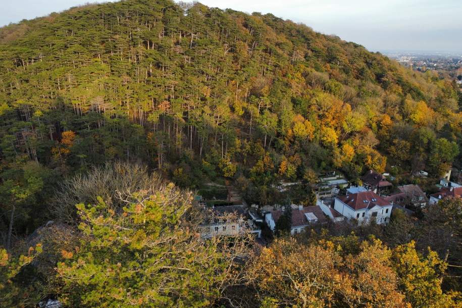 TOPLAGE baugenehmigtes Wohnbauprojekt für 5 Familienhäuser in außergewöhnlicher Villen-Waldrandlage I Rundum Natur pur!, Grund und Boden-kauf, 1.198.000,€, 1230 Wien 23., Liesing