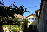 Traumhaftes ehemaliges Winzerhaus in Traiskirchen: 460m² Luxus - großzügiges Leben und Arbeiten unter einem Dach!