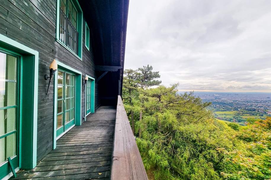 EXTRAVAGANT /// Villenmaisonette mit sensationallem Blick über Wien, Wohnung-miete, 4.103,00,€, 1190 Wien 19., Döbling