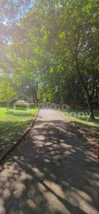 3 Zimmer Wohnung in super Ruhelage mit extrem viel Potenzial zum selbst gestalten in Rodaun