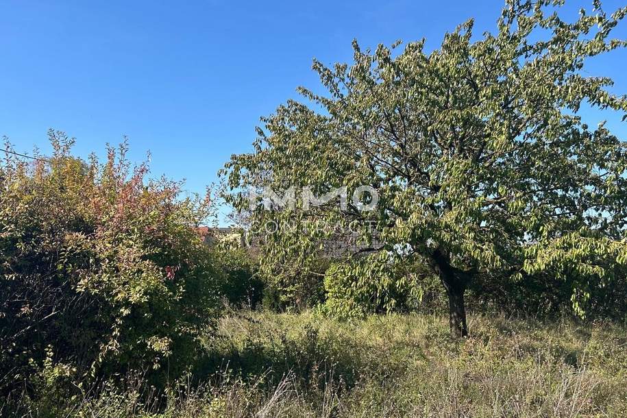 Sonniges, ebenes Baugrundstück in TOP Lage in St. Pölten/Wagram mit Altbestand, Grund und Boden-kauf, 369.000,€, 3100 Sankt Pölten(Stadt)